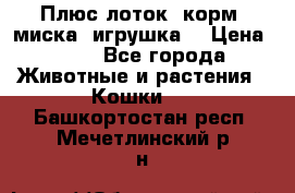 Плюс лоток, корм, миска, игрушка. › Цена ­ 50 - Все города Животные и растения » Кошки   . Башкортостан респ.,Мечетлинский р-н